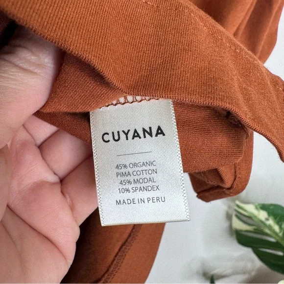 Cuyana Rust Puff Sleeve Tee - Picture 6 of 6